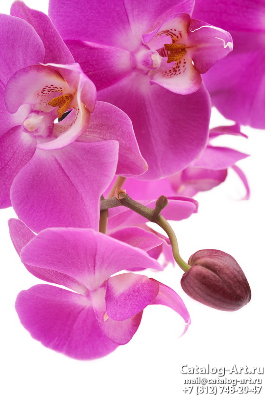 картинки для фотопечати на потолках, идеи, фото, образцы - Потолки с фотопечатью - Розовые орхидеи 61